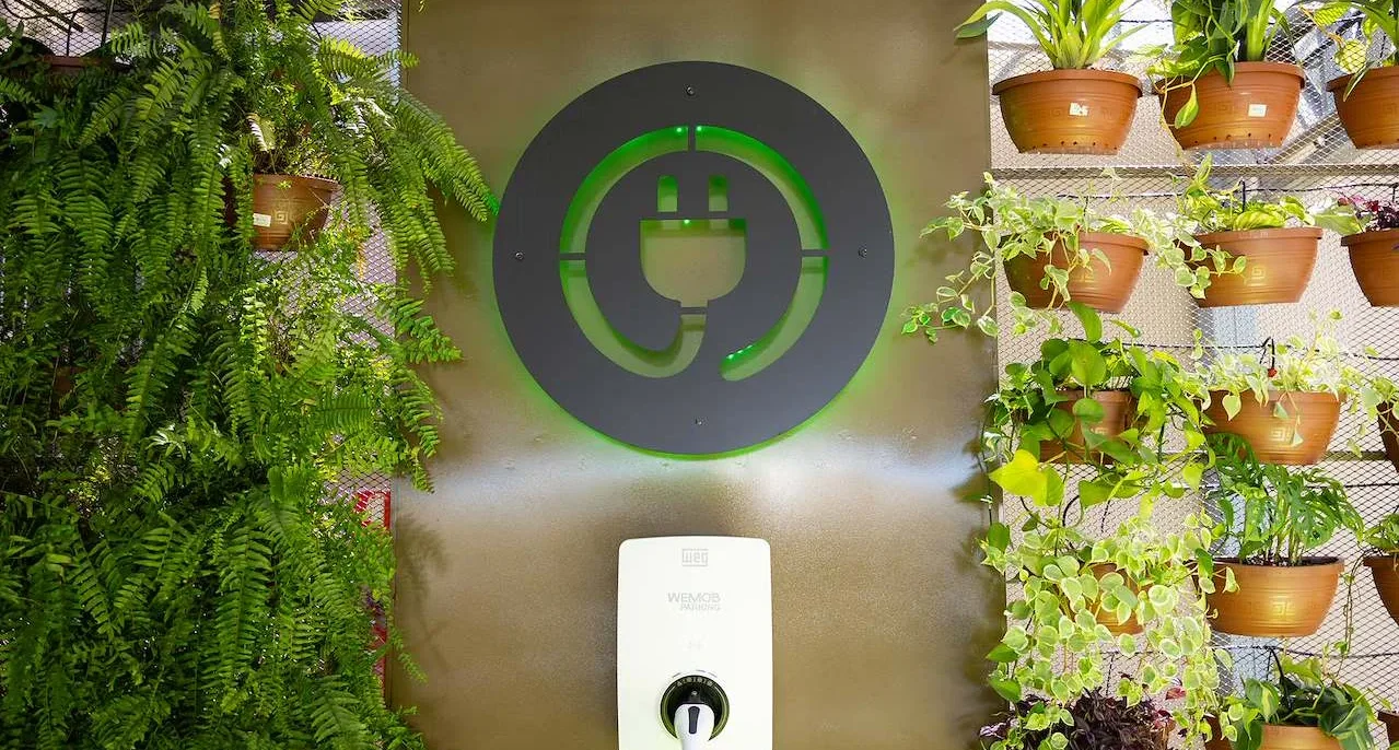 Tomada elétrica branca com cabo plugado em parede verde claro, cercada por plantas em vasos de barro e plantas pendentes com folhagens verdes