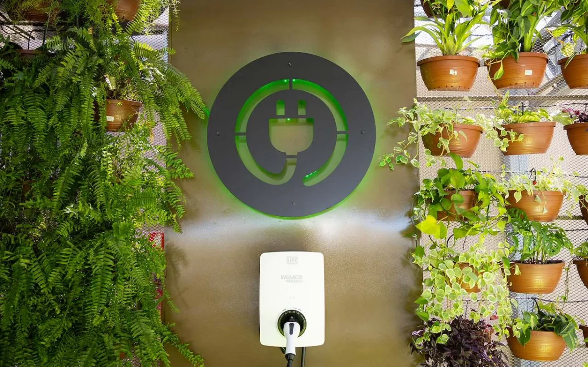 Tomada elétrica branca com cabo plugado em parede verde claro, cercada por plantas em vasos de barro e plantas pendentes com folhagens verdes